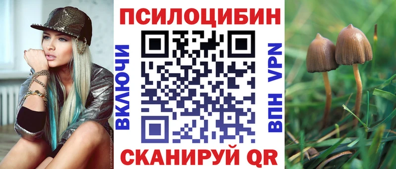 Галлюциногенные грибы Cubensis дарнет шоп Черноголовка